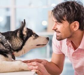 Dog Etiquette 101: 5 Ways How NOT to Greet a Dog