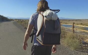 Help Kickstarter Pet Backpack Get Off the Ground