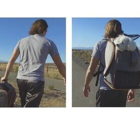 help kickstarter pet backpack get off the ground