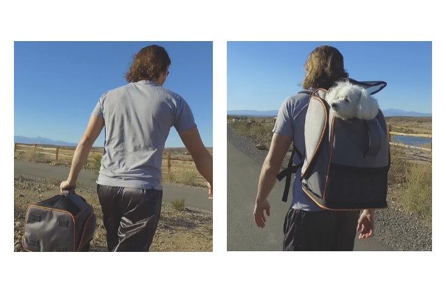help kickstarter pet backpack get off the ground