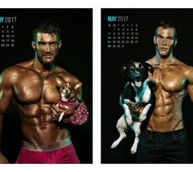 pecs and pups will leave you panting in the new year