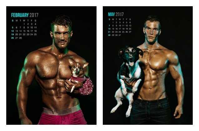 pecs and pups will leave you panting in the new year