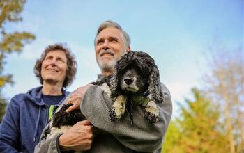 Old Dog Haven Gives Senior Pets Homes and Dignity