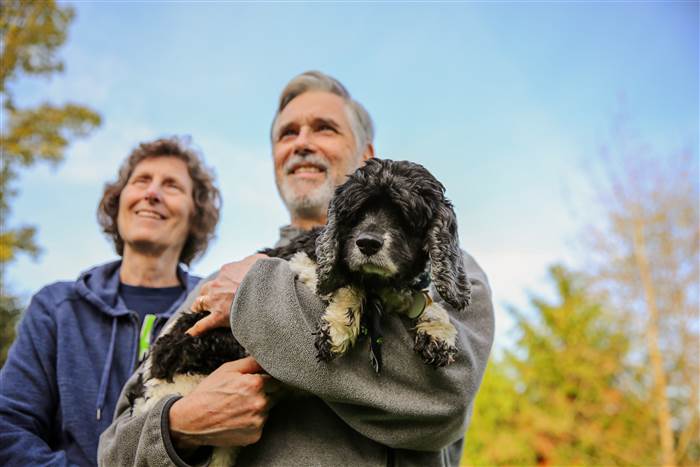 old dog haven gives senior pets homes and dignity