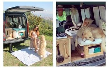 Rescue Dog Travels the World In Pooch-Perfect Renovated Van