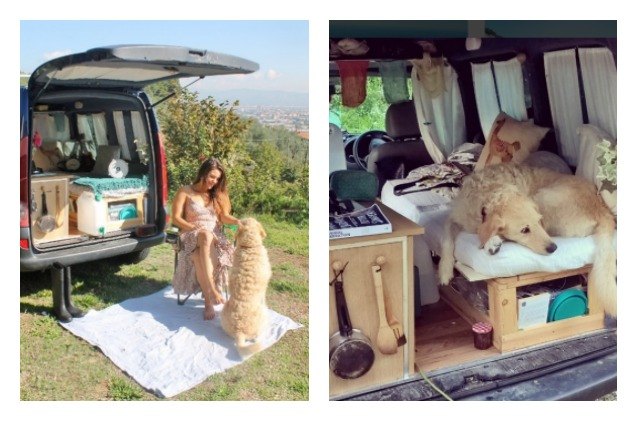 rescue dog travels the world in pooch perfect renovated van