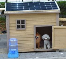 Go Green With Solar Heat for Your Dog House