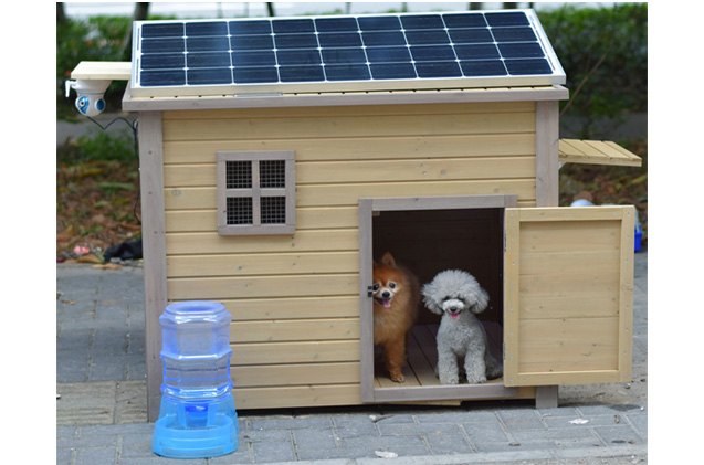 go green with solar heat for your dog house