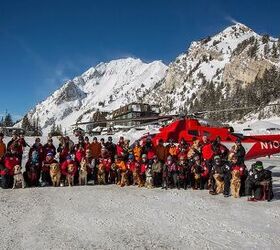 Subaru Seizes Snow Days to Fund Ski Patrol Dog Training