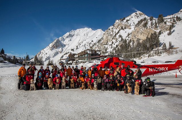 subaru seizes snow days to fund ski patrol dog training
