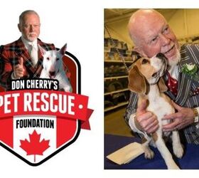 Shelter Spotlight: Don Cherry’s Pet Rescue Foundation | PetGuide