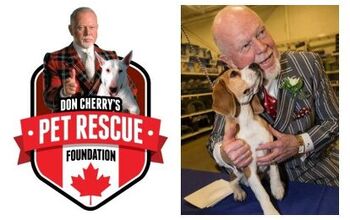 Shelter Spotlight: Don Cherry’s Pet Rescue Foundation