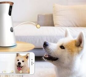 Watch and Treat Your Dog With the Furbo Pet Camera