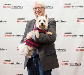 Expert Insight: Dr. Marty Becker and Winter Pet Wellness Tips
