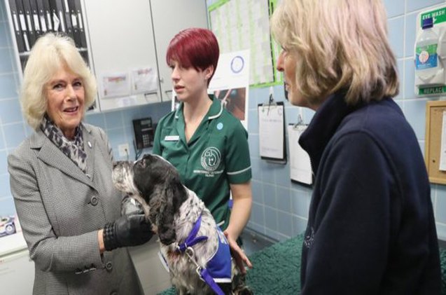 battersea dogs and cats home gets a new royal supporter