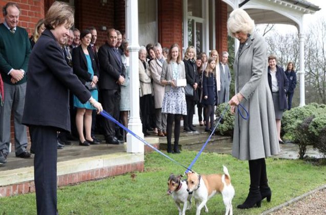 battersea dogs and cats home gets a new royal supporter