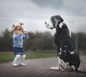 New Book Featuring Little Kids and Their Big Dogs Cutest Thing Ever