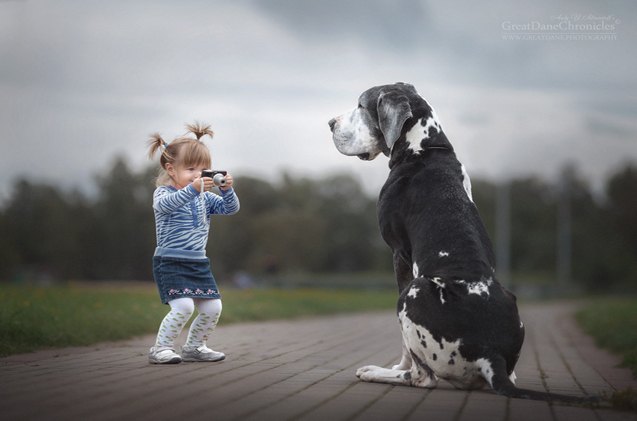 new book featuring little kids and their big dogs cutest thing ever