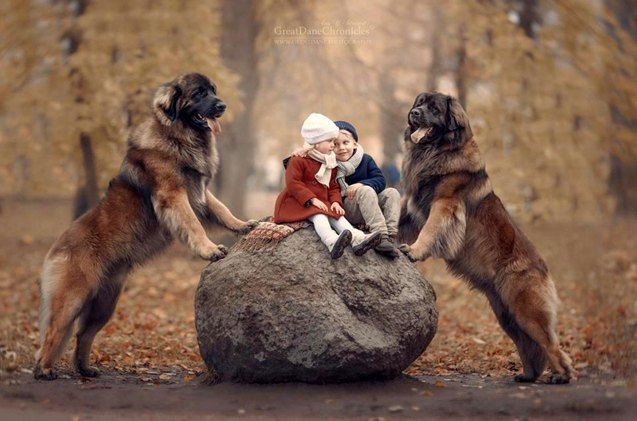 new book featuring little kids and their big dogs cutest thing ever