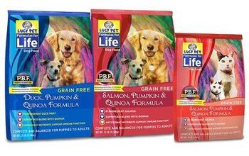 New Lucy Pet Pet Food Line Helps Gut and Digestive Health