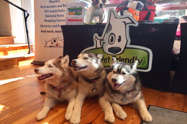 the ultimate pet friendly road trip revs up after kick off event