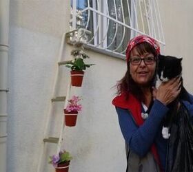 Turkish Woman Builds Ladder to Window For Cats To Come In From The Col