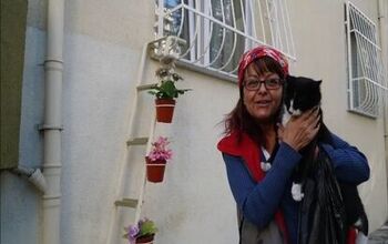 Turkish Woman Builds Ladder to Window For Cats To Come In From The Col