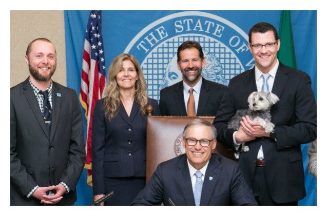 washington state senate passes new legislation restricting tethering pets