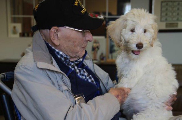 wwii veteran fights for patriot paws with gofundme campaign on 100th birthday