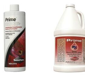 Conditioning Your Fish Tank With Seachem Prime