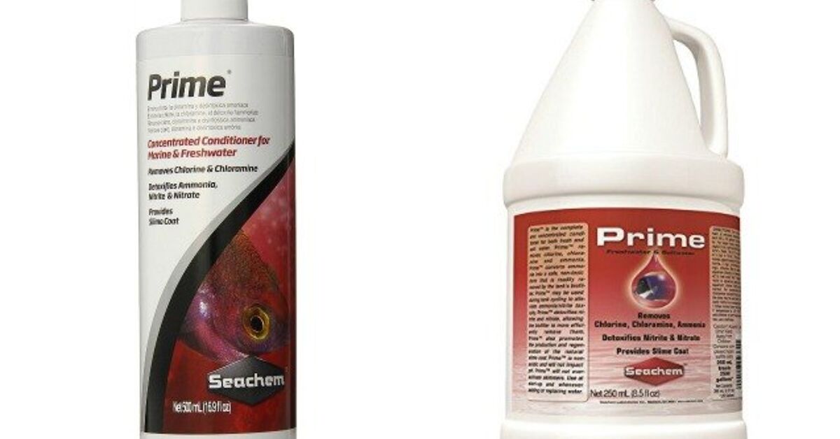 Conditioning Your Fish Tank With Seachem Prime | PetGuide