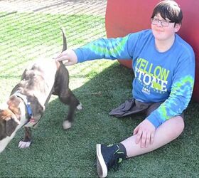 cancer survivor finds new bff with three legged dog