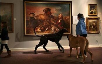 AKC Museum of the Dog Is Headed to New York City
