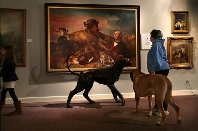 akc museum of the dog is headed to new york city