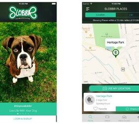 Slobbr App Helps Dog Owners Explore More Destinations With Their Pooch