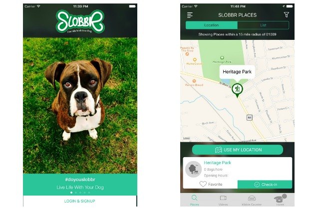 slobbr app helps dog owners explore more destinations with their pooch