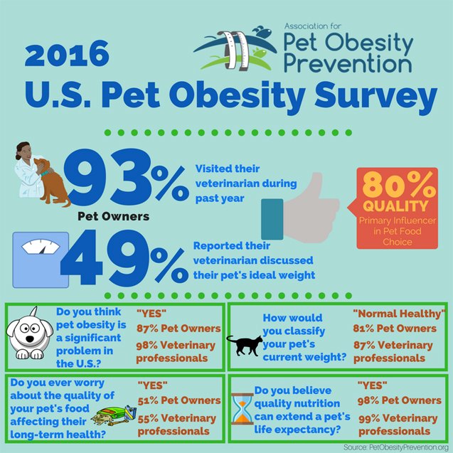 study u s pets are heavier than ever
