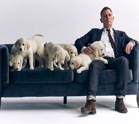 Daniel Craig Uses Puppy Power To Explain Aston Martin Contest [Video]