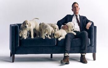 Daniel Craig Uses Puppy Power To Explain Aston Martin Contest [Video]