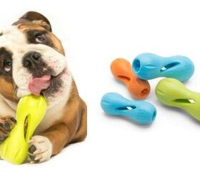 Global Pet Expo 2017: Interactive Fun With West Paw Design’s Qwizl