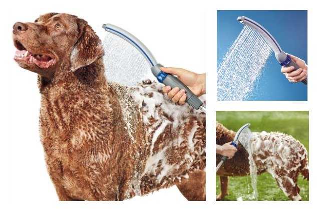 global pet expo 2017 waterpik goes to the dogs with new pet wand pro