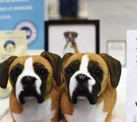 Global Pet Expo 2017: Cuddle Clone Slippers Lets You Be A Copy Cat (Or