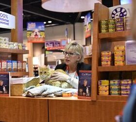 Global Pet Expo Debuts The Catwise Cafe Tour