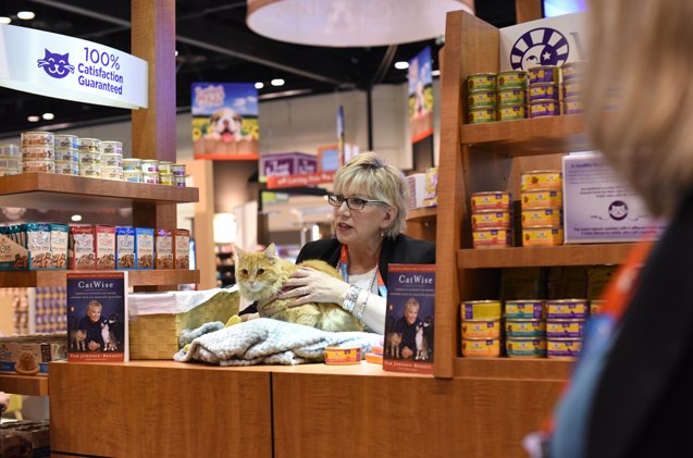 global pet expo debuts the catwise cafe tour
