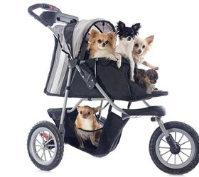 stroller training tips for teaching your dog to ride in a stroller