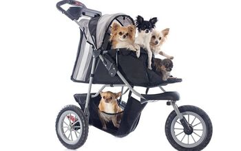Stroller Training: Tips for Teaching Your Dog to Ride in a Stroller