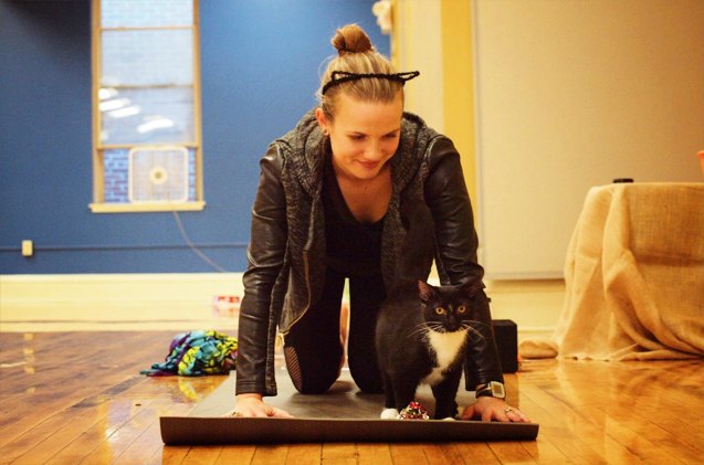 strike a yoga pose and help shelter cats find new homes