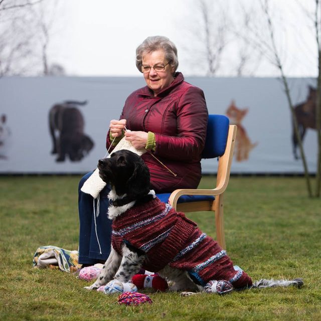 scottish women knit sweaters to help adopters overcome black dog syndr
