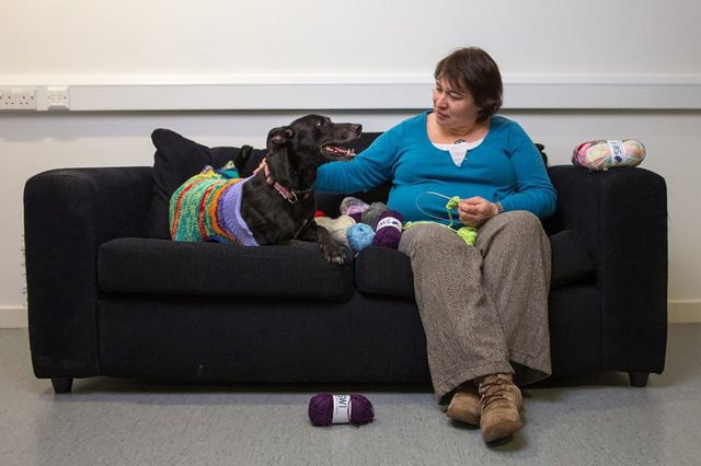 scottish women knit sweaters to help adopters overcome black dog syndr