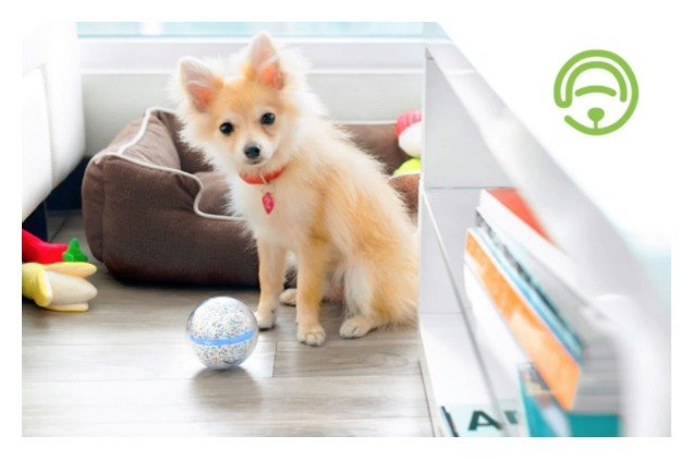 your dog will have a ball with the pebby wifi toy